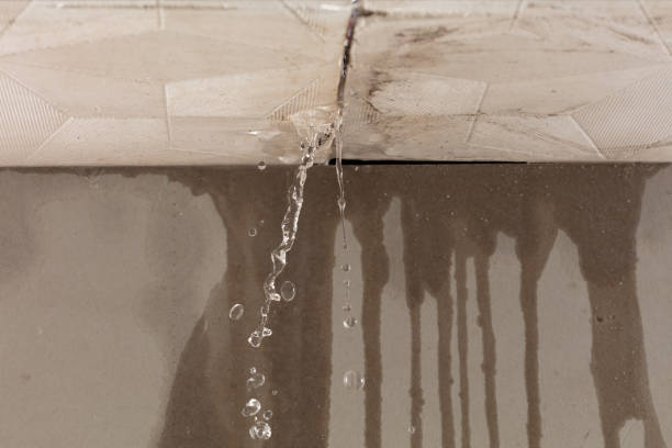 Professional Water Damage Repair technician working in Waterville, NY